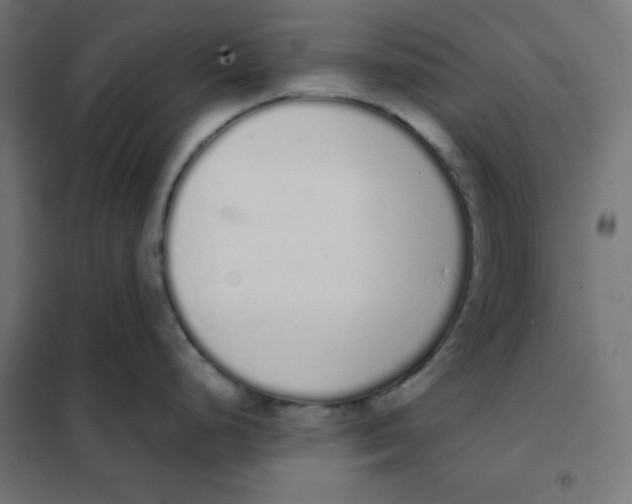 X0000101391248200807280930