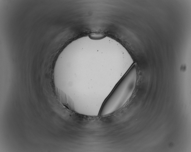 X0000101391249200807280930