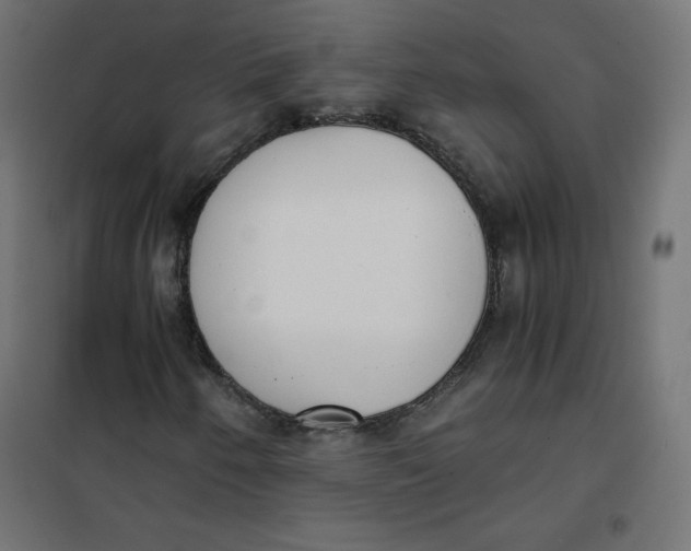 X0000101391250200807280930