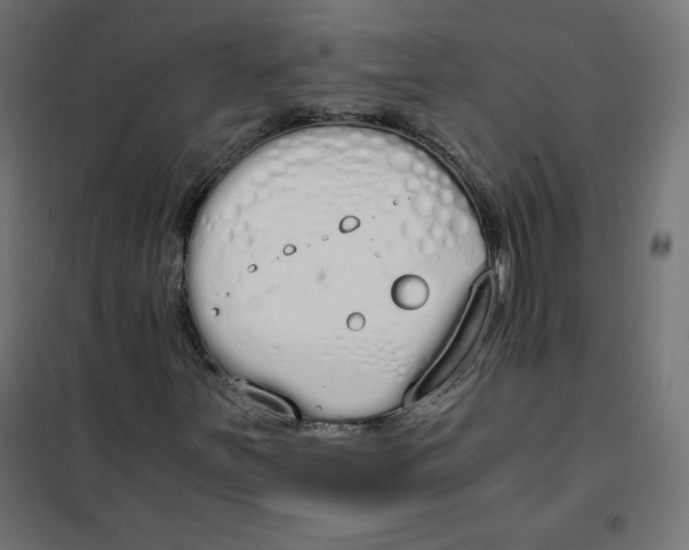 X0000101391251200807280930