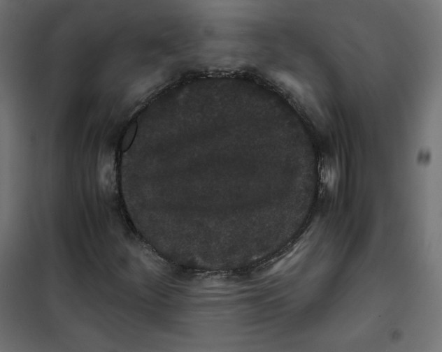 X0000101391252200807280930