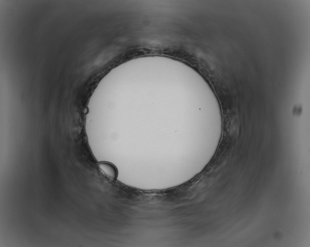 X0000101391253200807280930