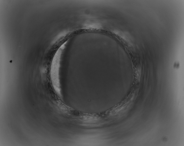 X0000101391254200807280930