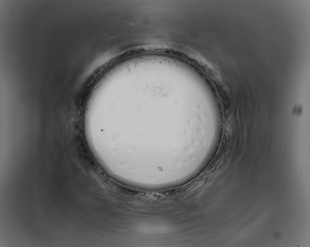 X0000101391255200807280930