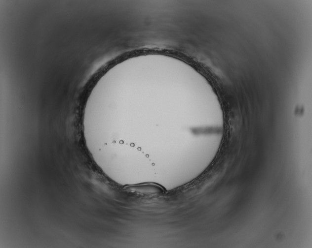 X0000101391256200807280929