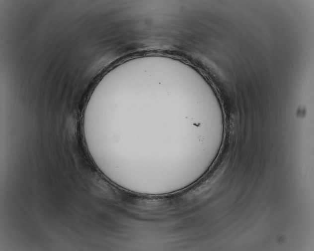 X0000101391257200807280929