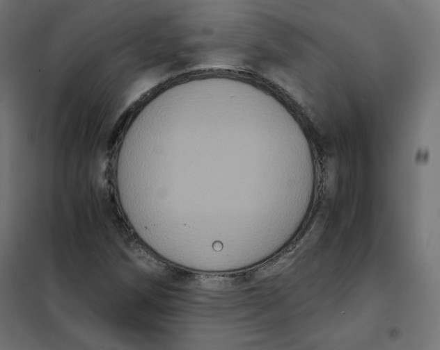 X0000101391258200807280929