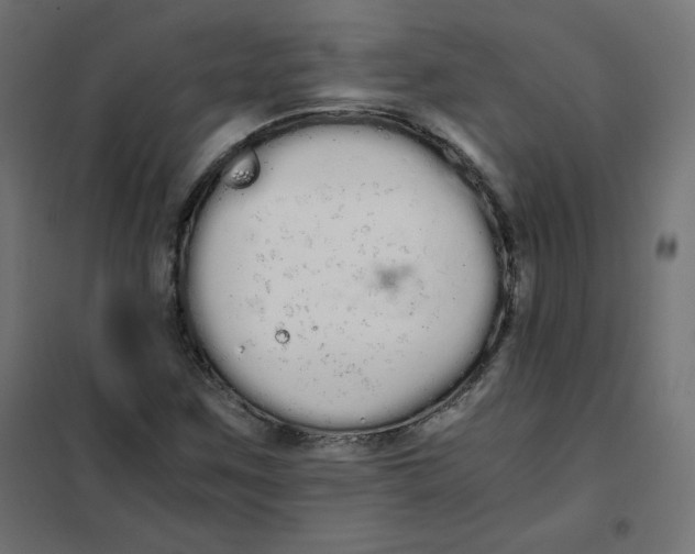 X0000101391259200807280929