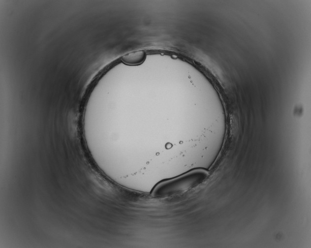 X0000101391260200807280929