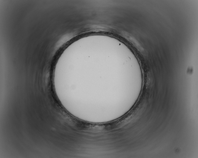 X0000101391261200807280929