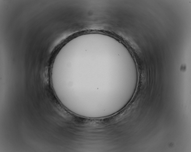 X0000101391262200807280929