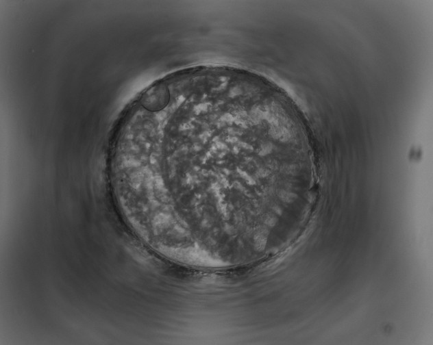 X0000101391263200807280929