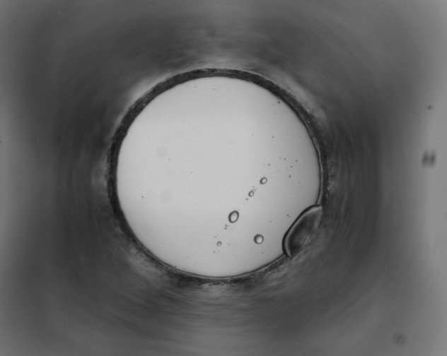 X0000101391264200807280929