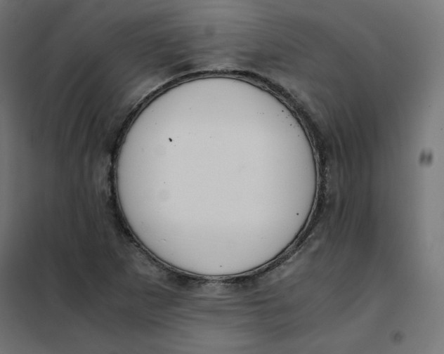 X0000101391265200807280929