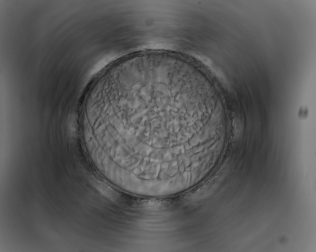 X0000101391266200807280929