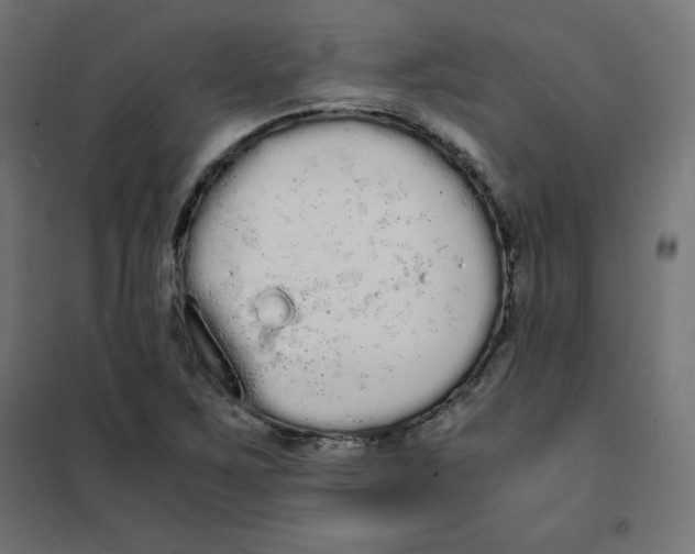 X0000101391267200807280929