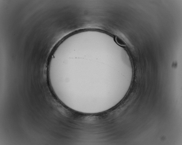 X0000101391268200807280929