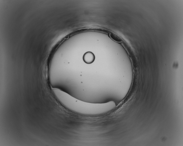 X0000101391269200807280929