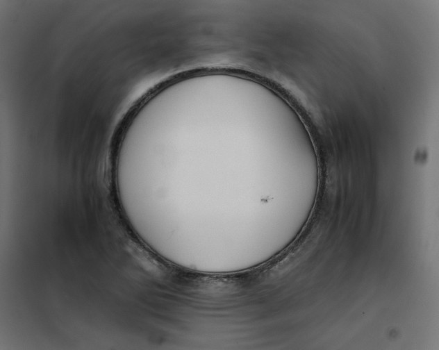 X0000101391270200807280929