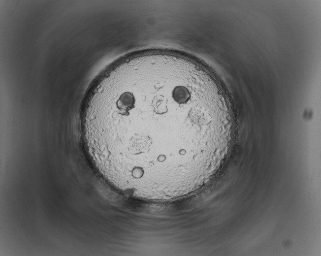 X0000101391271200807280929