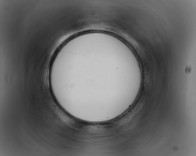 X0000101391272200807280929