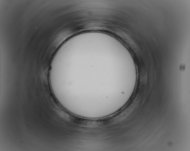 X0000101391273200807280929