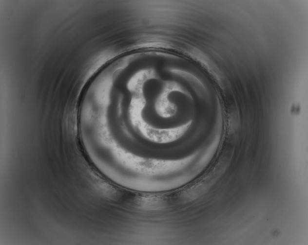 X0000101391274200807280929