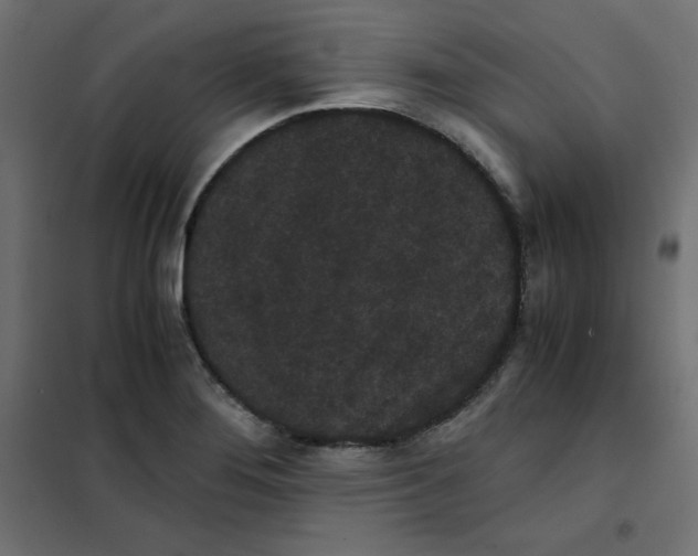 X0000101391276200807280929