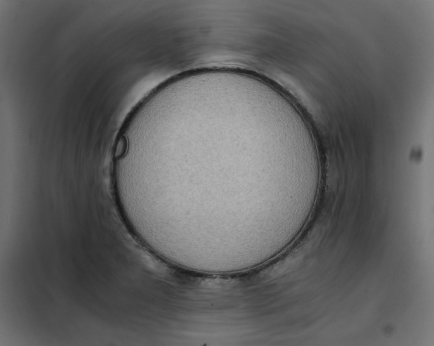 X0000101391277200807280929