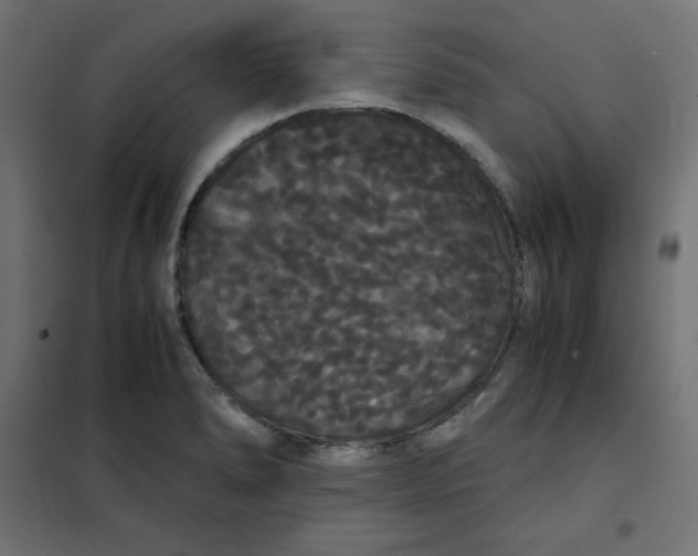 X0000101391278200807280929