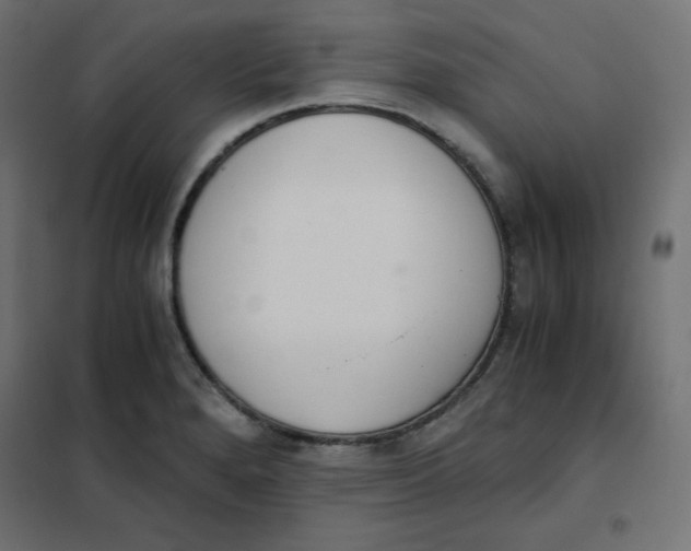 X0000101391280200807280929