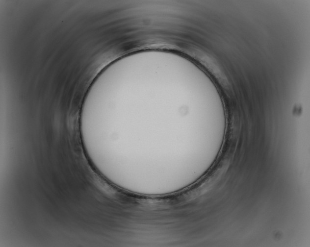 X0000101391281200807280929