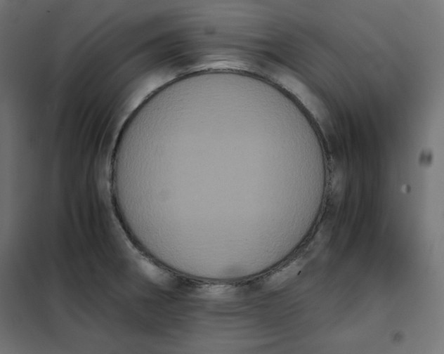 X0000101391282200807280929