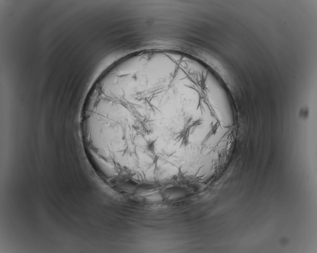 X0000101391283200807280929