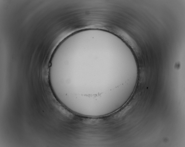 X0000101391284200807280929