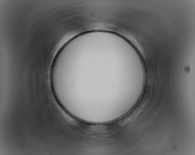 X0000101391285200807280929