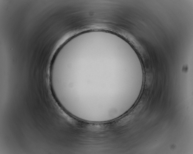 X0000101391286200807280929