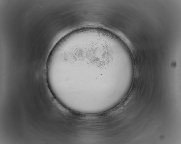 X0000101391287200807280929