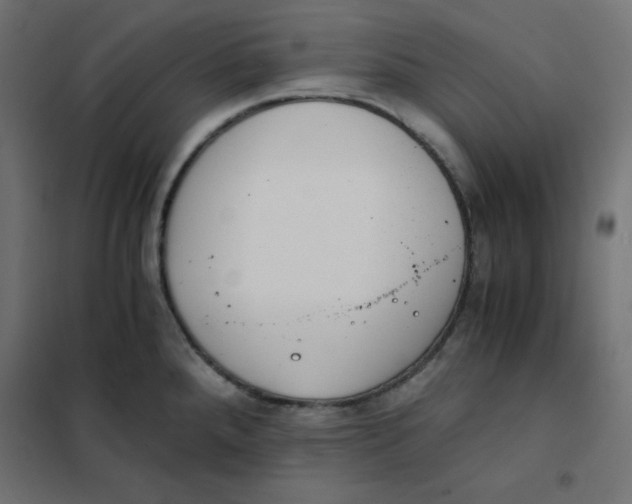 X0000101391288200807280929