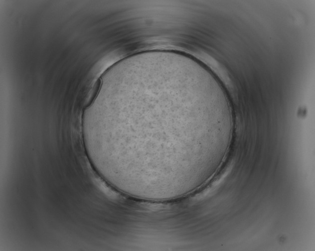 X0000101391289200807280929