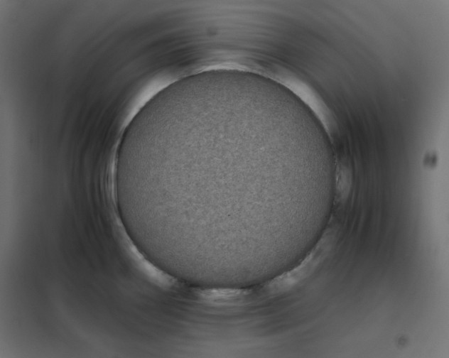 X0000101391290200807280929