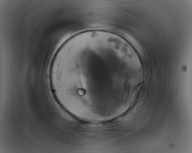 X0000101391291200807280929