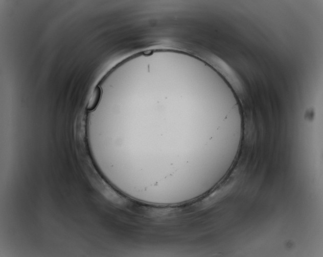 X0000101391292200807280929