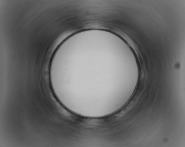 X0000101391293200807280929