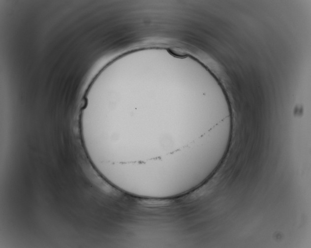 X0000101391296200807280929