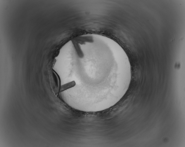 X0000101391297200807280928