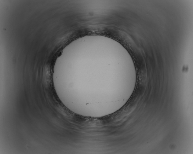 X0000101391298200807280928