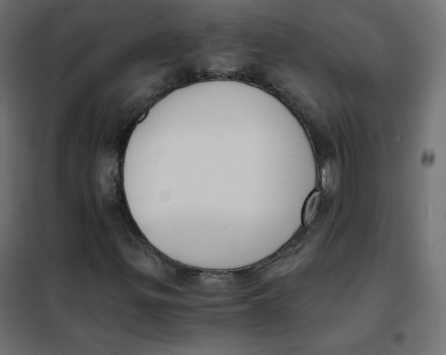 X0000101391299200807280928