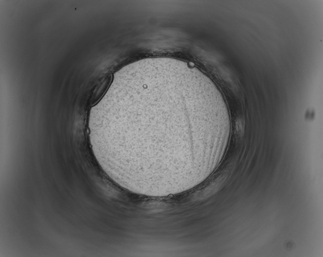 X0000101391300200807280928