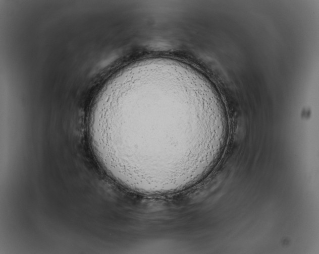 X0000101391301200807280928